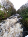 The River Erme : Ivybridge to Ermington Ã¢â¬â from the edge of the moors into the AONB Royalty Free Stock Photo